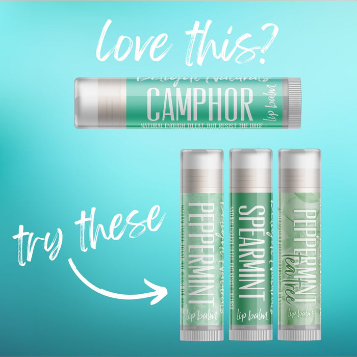 Camphor Lip Balm - Three Pack