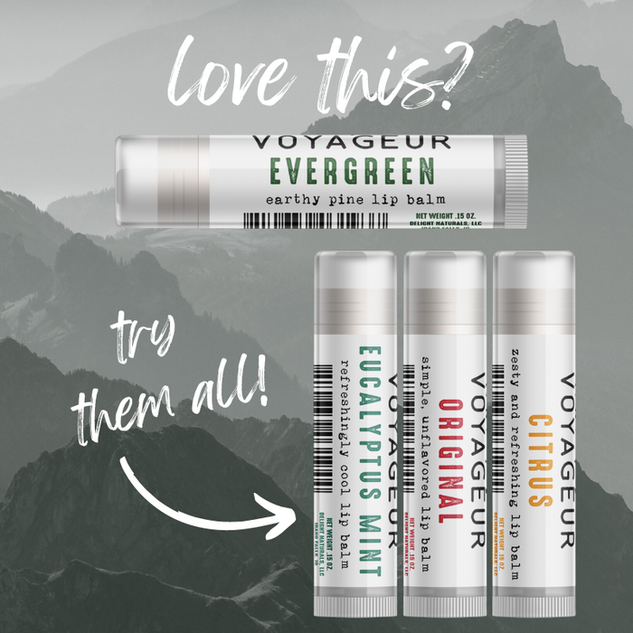 Voyageur Evergreen Lip Balm - Three Pack